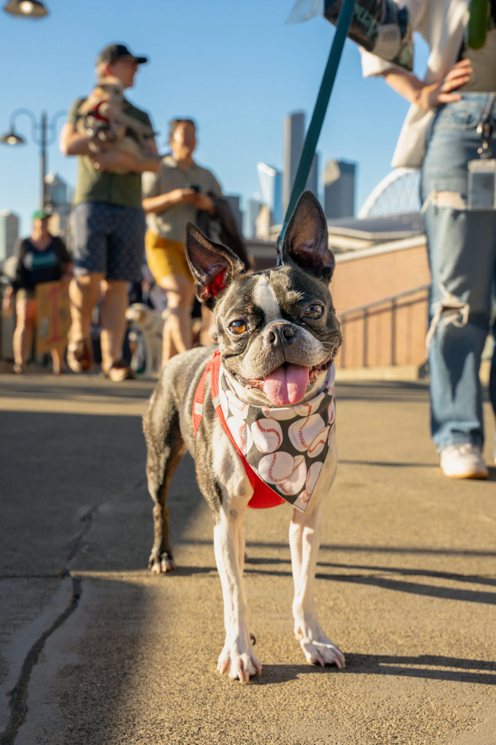 barkatthepark#3-7-2