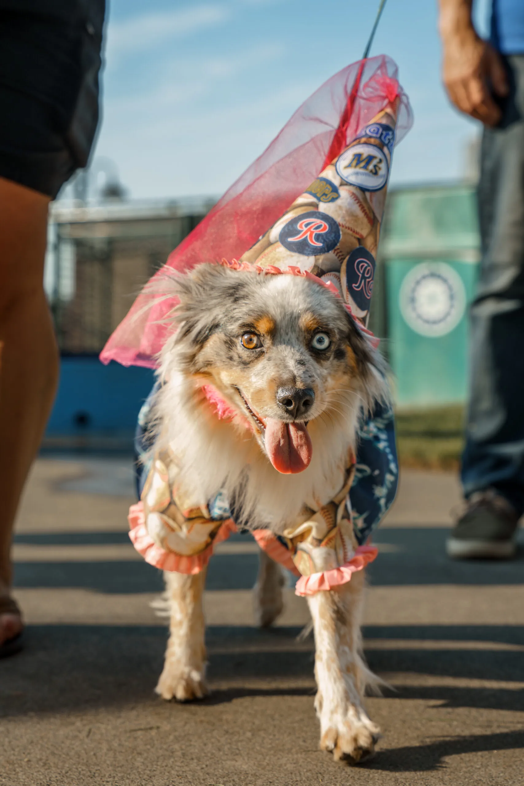 BarkAtThePark-3